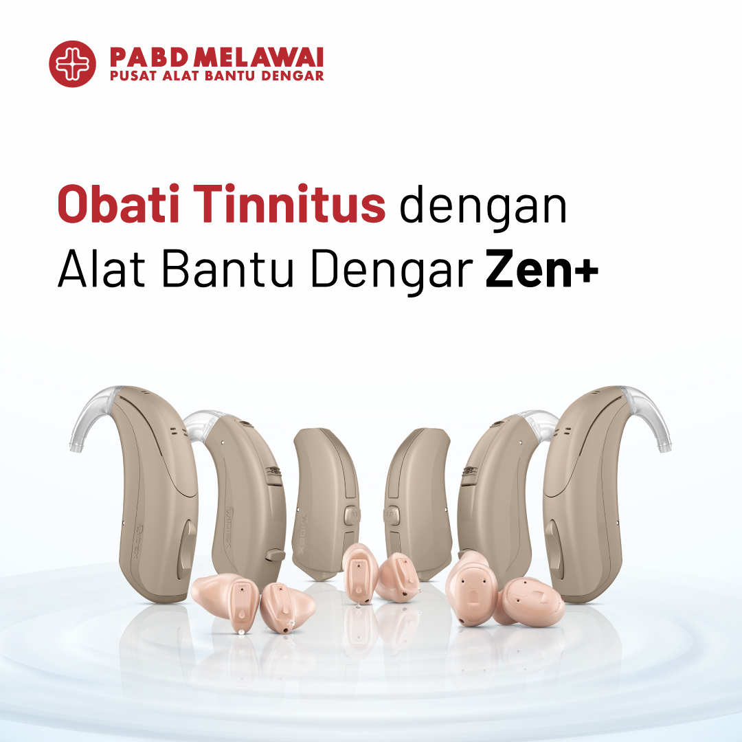 Fitur Zen+ pada Alat Bantu Dengar 