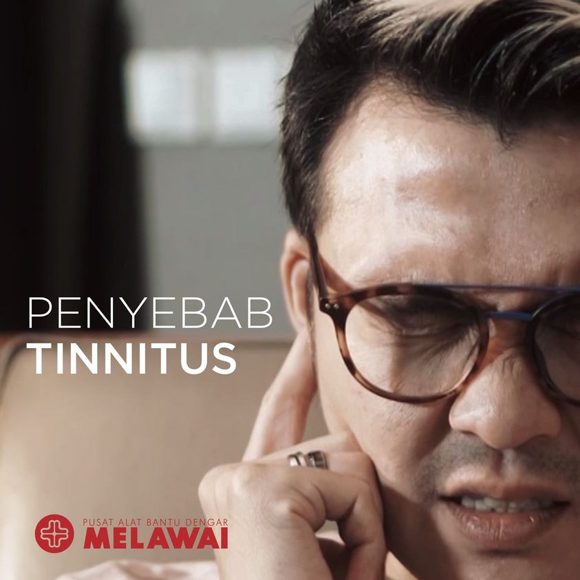 Penyebab Tinitus